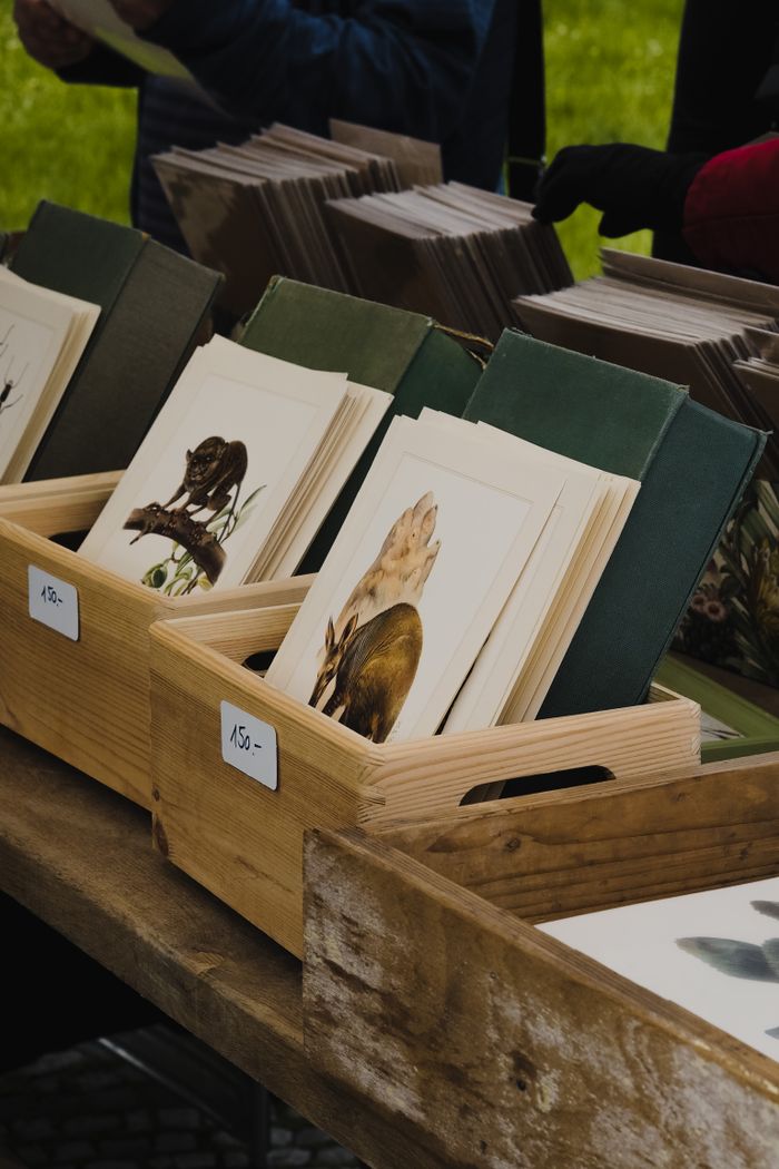 Close-up of wooden boxes filled with artistic animal prints at an outdoor market.